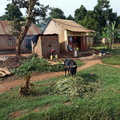 DSC05925